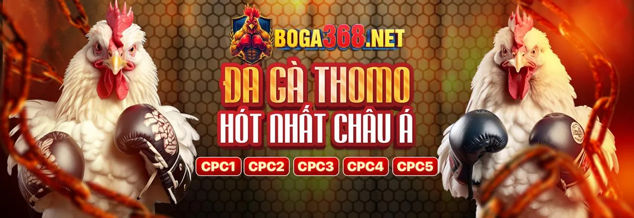 Sân đấu đá gà trực tuyến 33vin với không khí sôi động